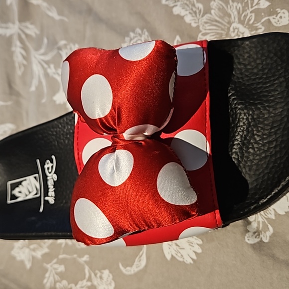 Minnie Mouse Van slides - Picture 3 of 4